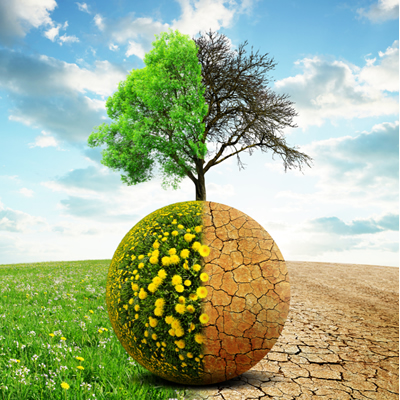 Environment and climate change